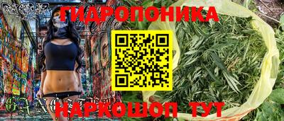 прущие крисы Кунгур