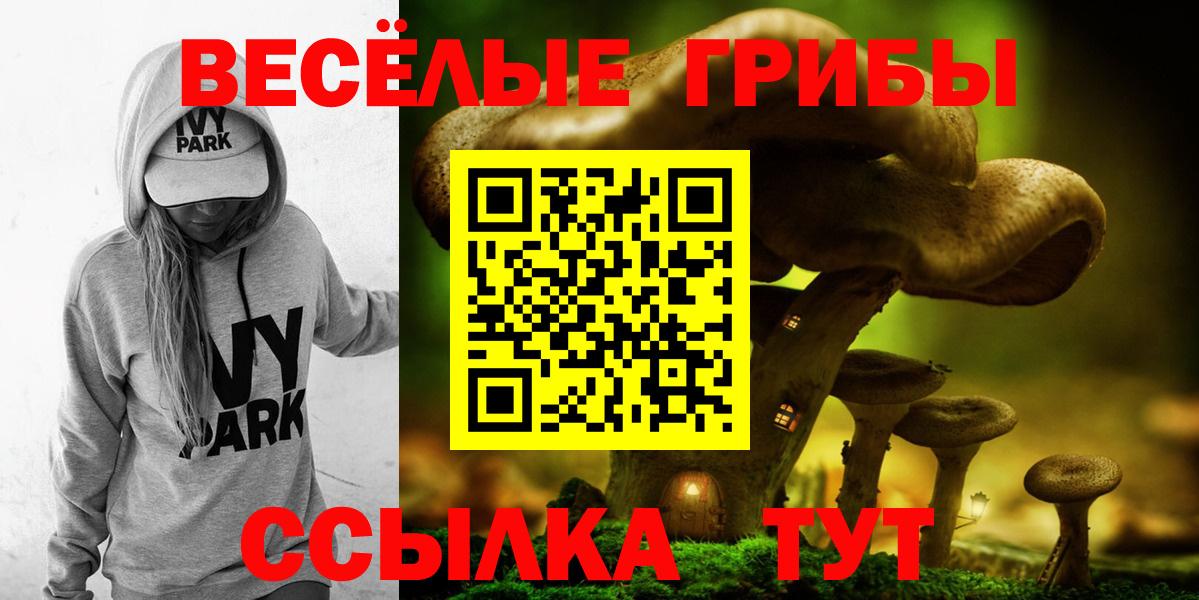 Псилоцибиновые грибы мухоморы  Вход с VPN  Галлюциногенные грибы прущие грибы  Электрогорск 