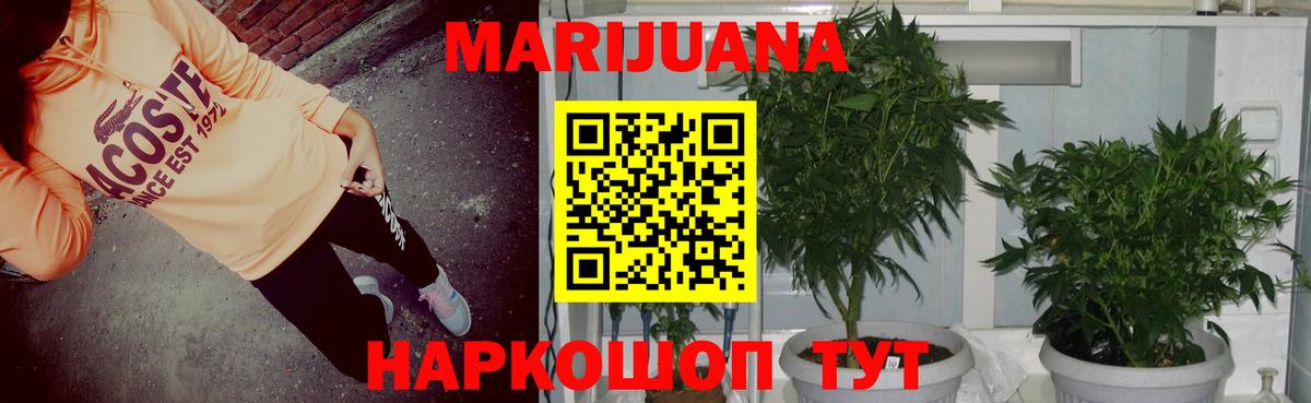 Конопля сатива  Вход с VPN  Бошки марихуана план  МАРИХУАНА THC 21%  Электрогорск 